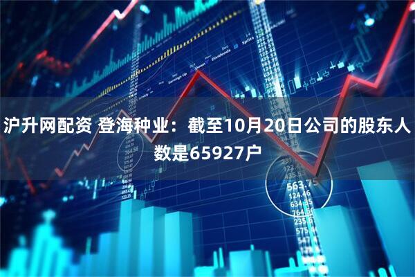 沪升网配资 登海种业：截至10月20日公司的股东人数是65927户